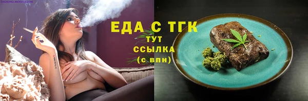 индика Пестово