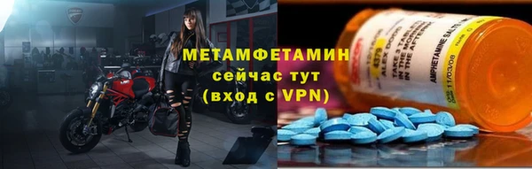 индика Пестово