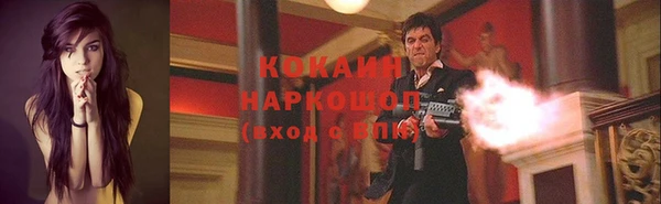 индика Пестово