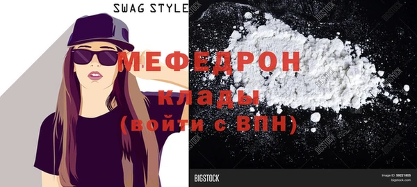 индика Пестово